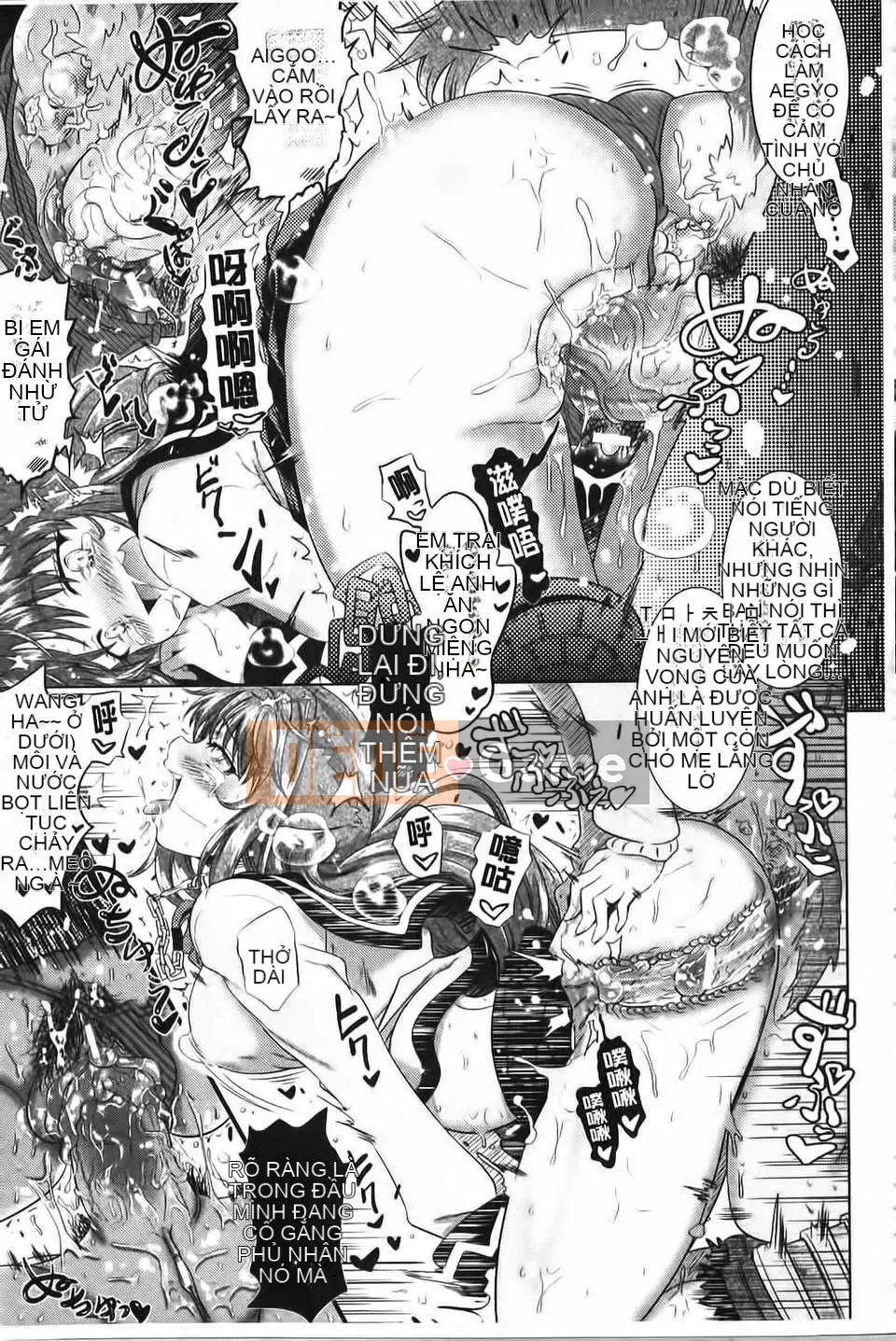 [Shiraha Mato] Hai tình yêu ru