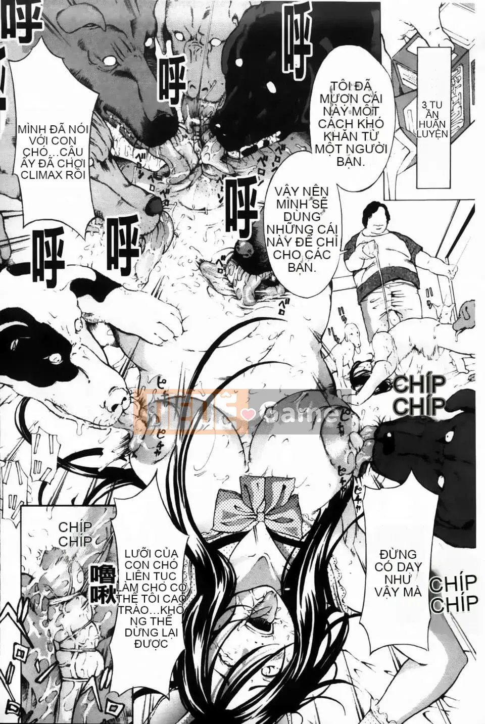 [Mustang R] Bộ Huấn Luyện Hạt Dẻ Sữa -Phiên Bản Đáng Sợ Nhất-