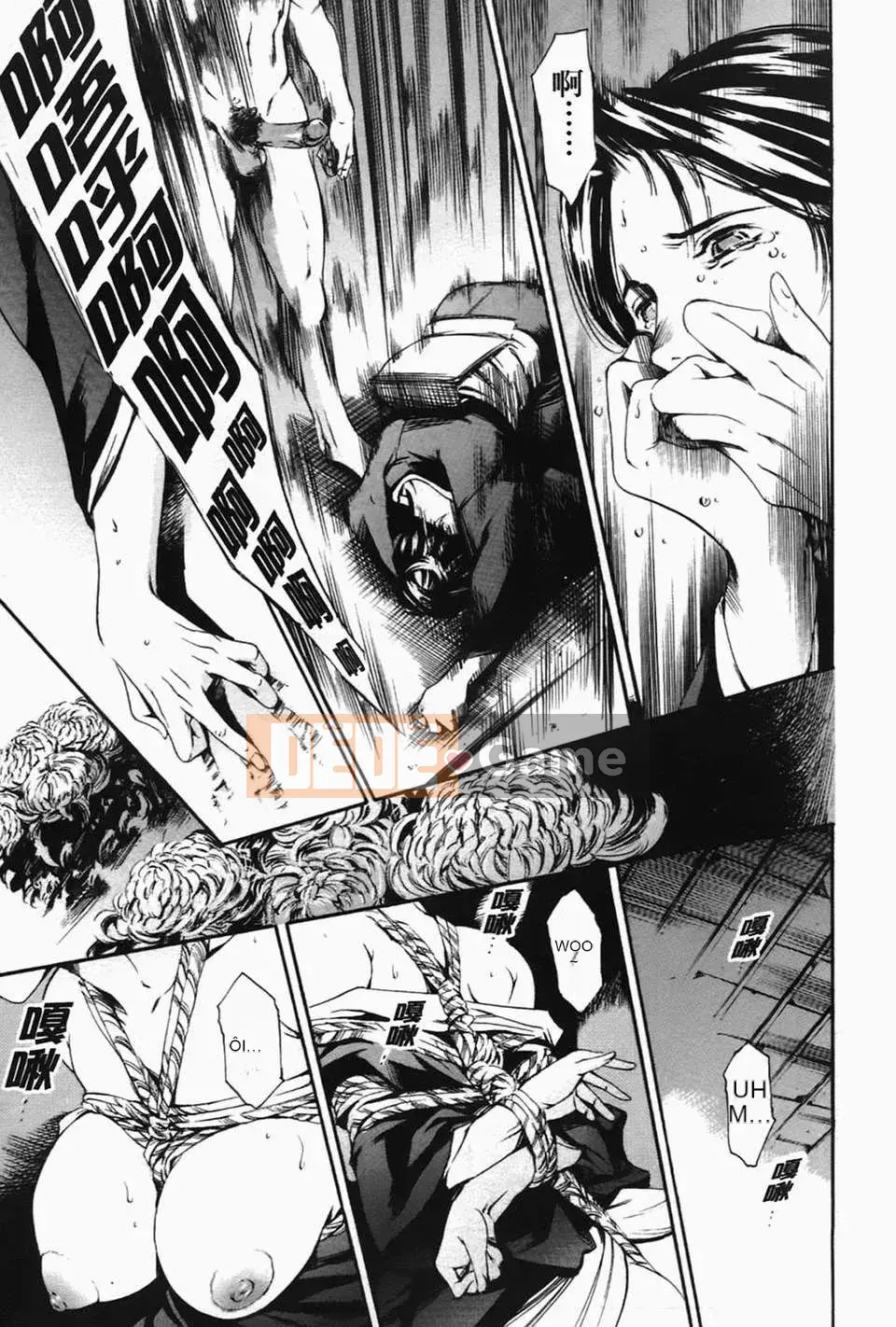 [Đế chế cá ngừ] Ireland Inetsu no Shou