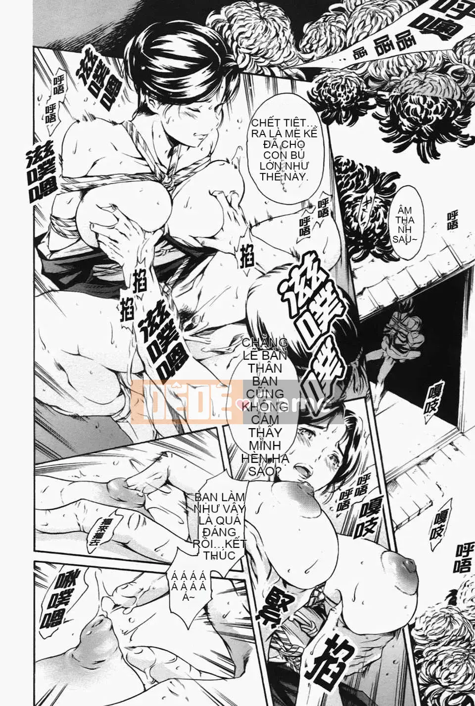 [Đế chế cá ngừ] Ireland Inetsu no Shou