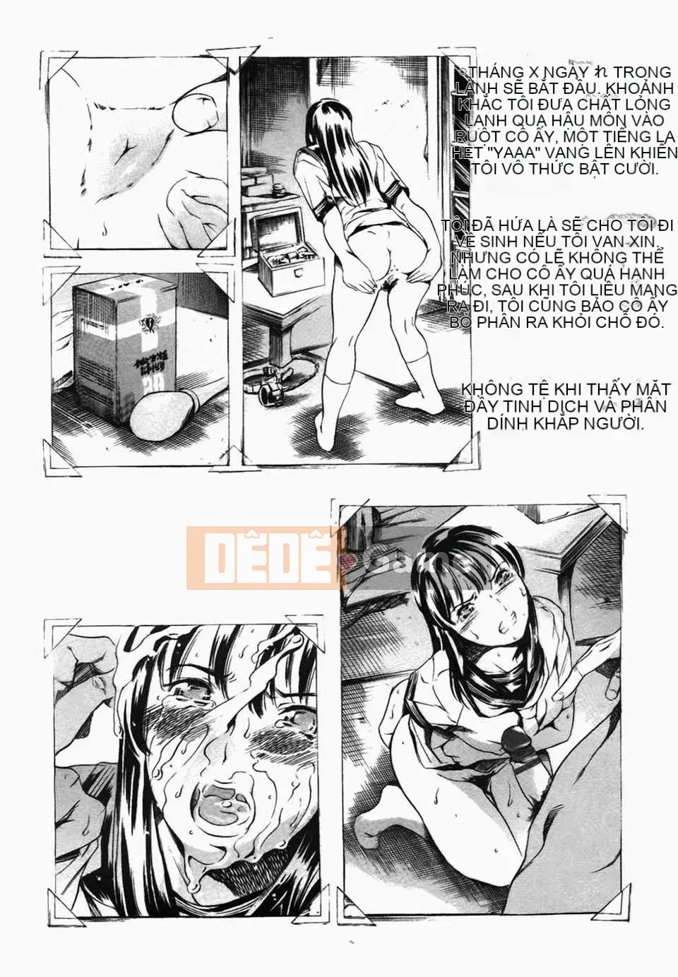 [Đế chế cá ngừ] Ireland Injyou no Shou