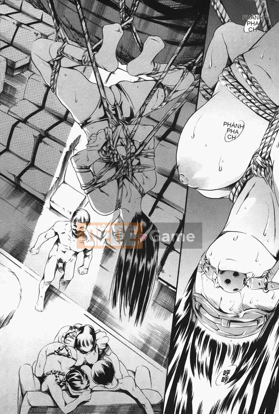 [Đế chế cá ngừ] Ireland Injyou no Shou