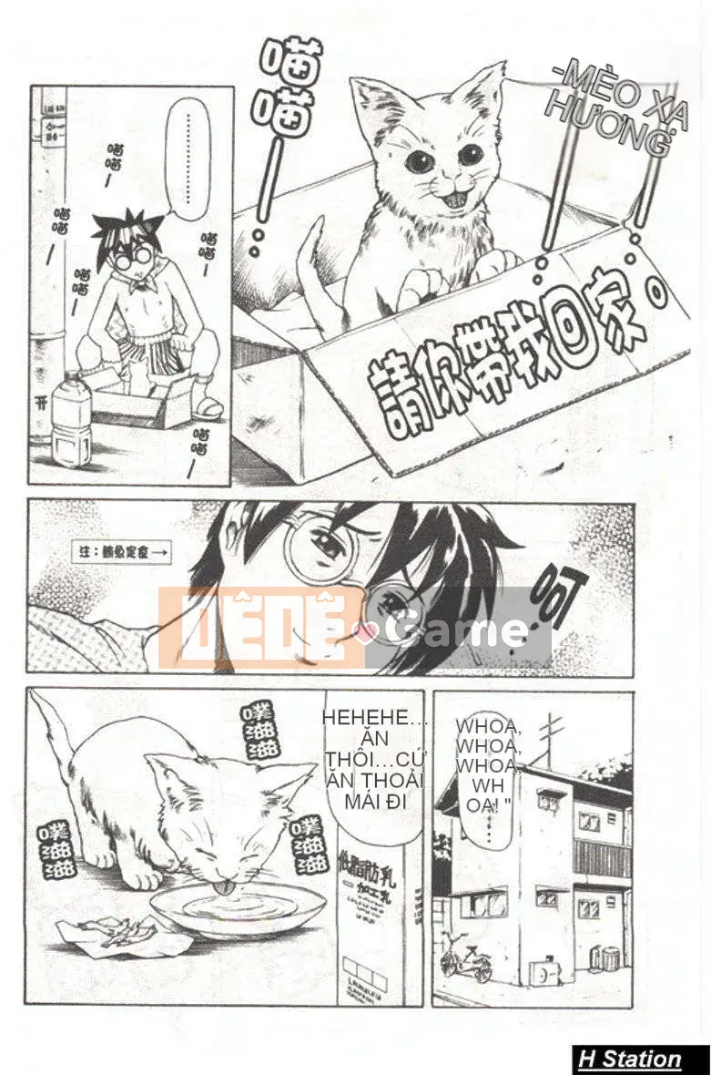 [Đế chế cá ngừ] Shirichichi