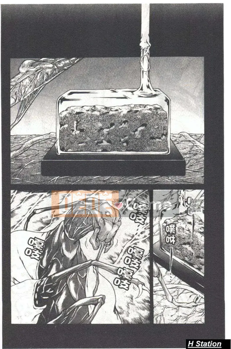 [Đế chế cá ngừ] Shirichichi