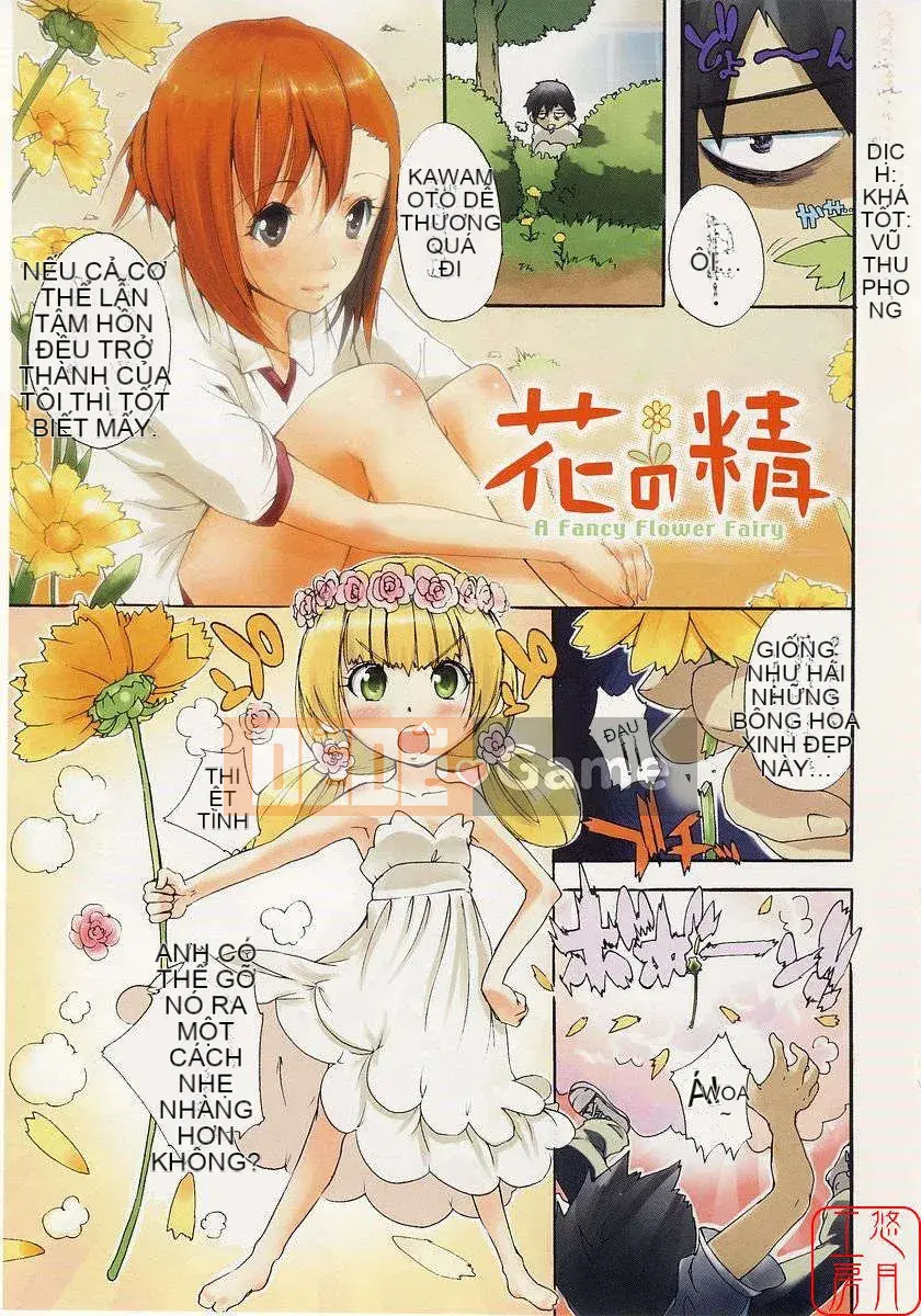 [Nylon] 100% Ni lông