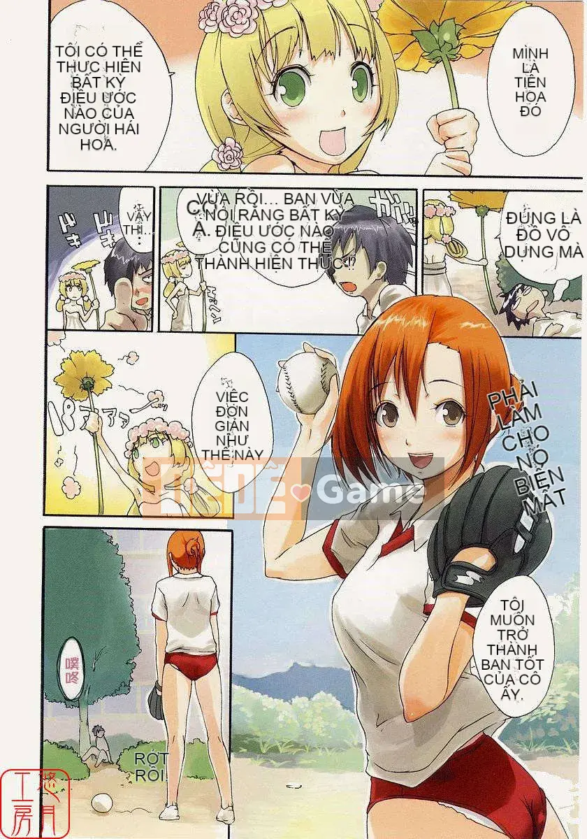 [Nylon] 100% Ni lông