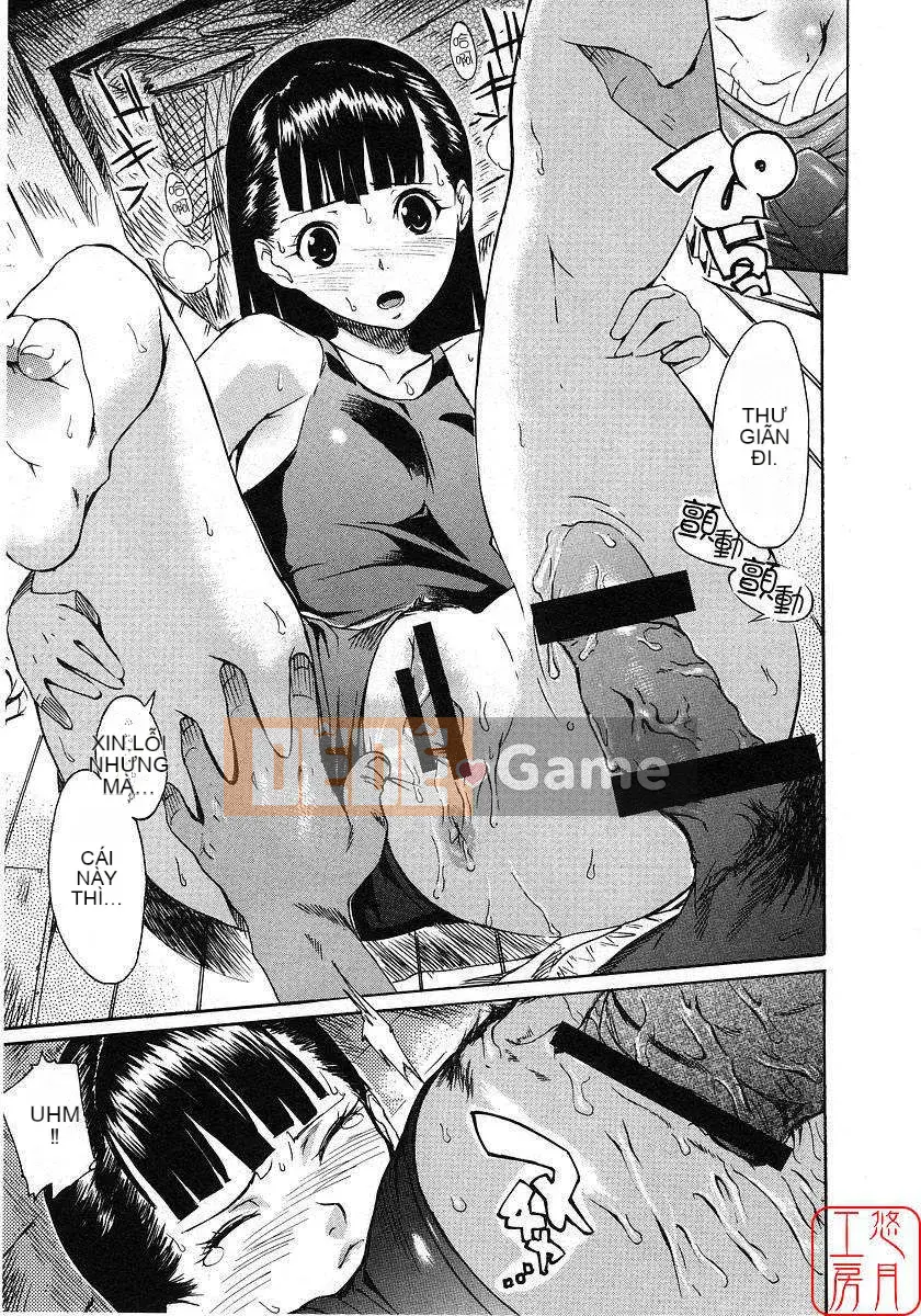 [Nylon] 100% Ni lông