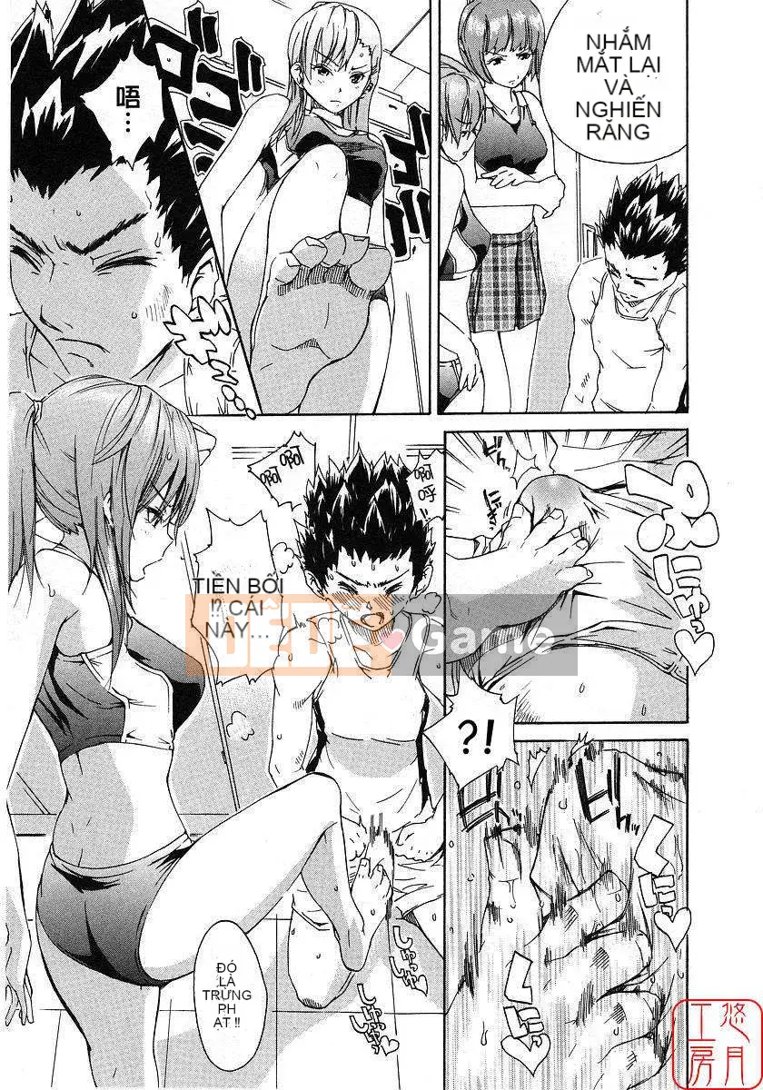 [Nylon] 100% Ni lông