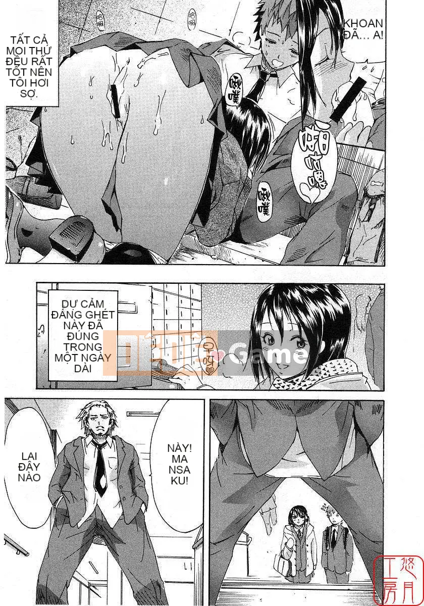 [Nylon] 100% Ni lông