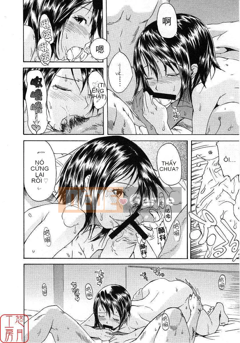 [Nylon] 100% Ni lông