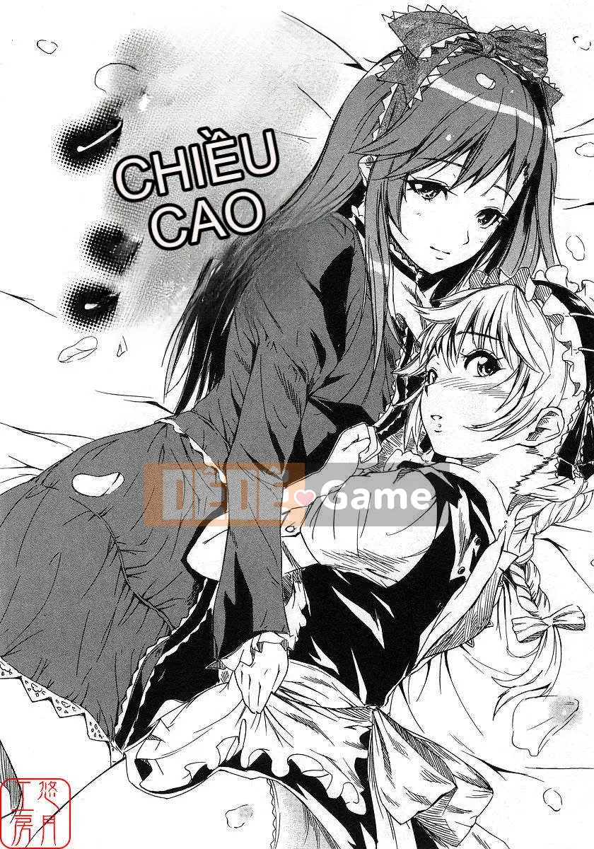 [Nylon] 100% Ni lông