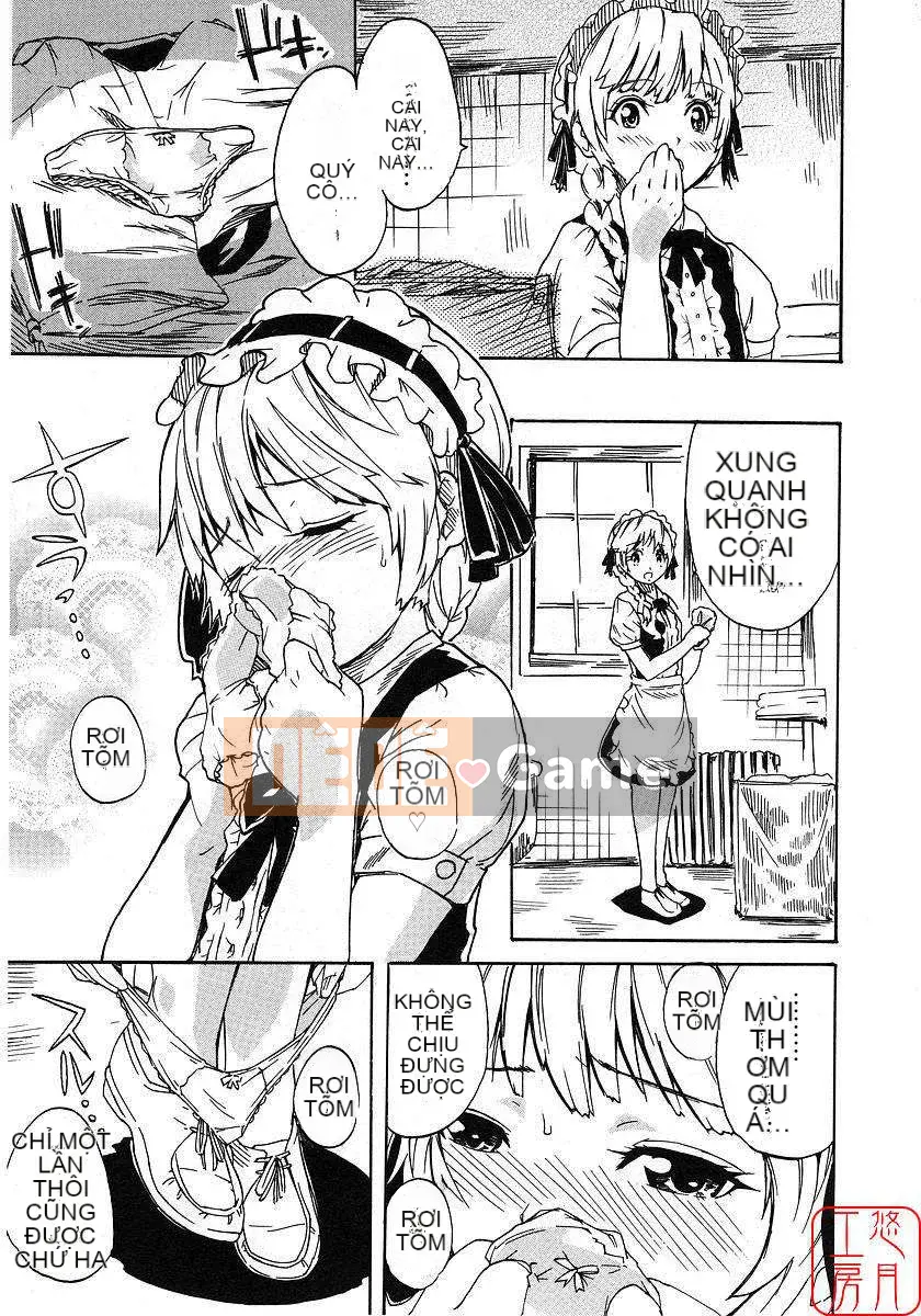 [Nylon] 100% Ni lông