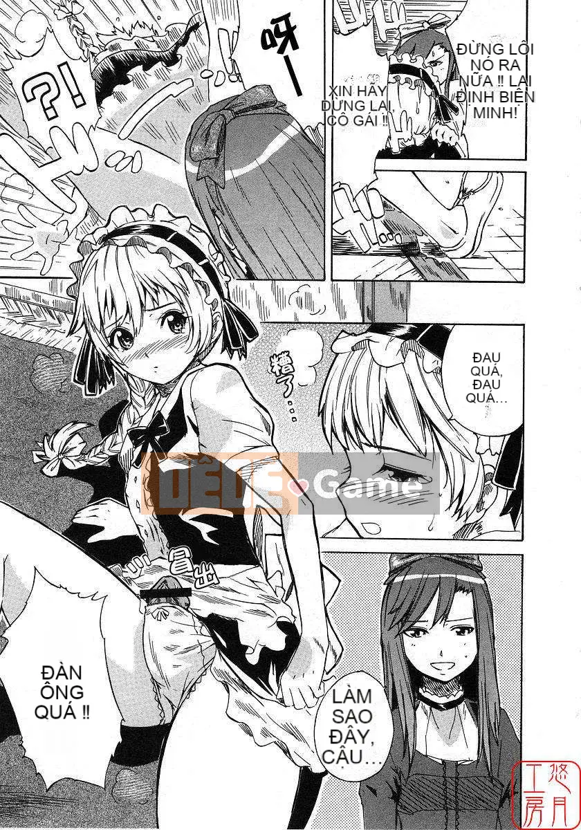 [Nylon] 100% Ni lông