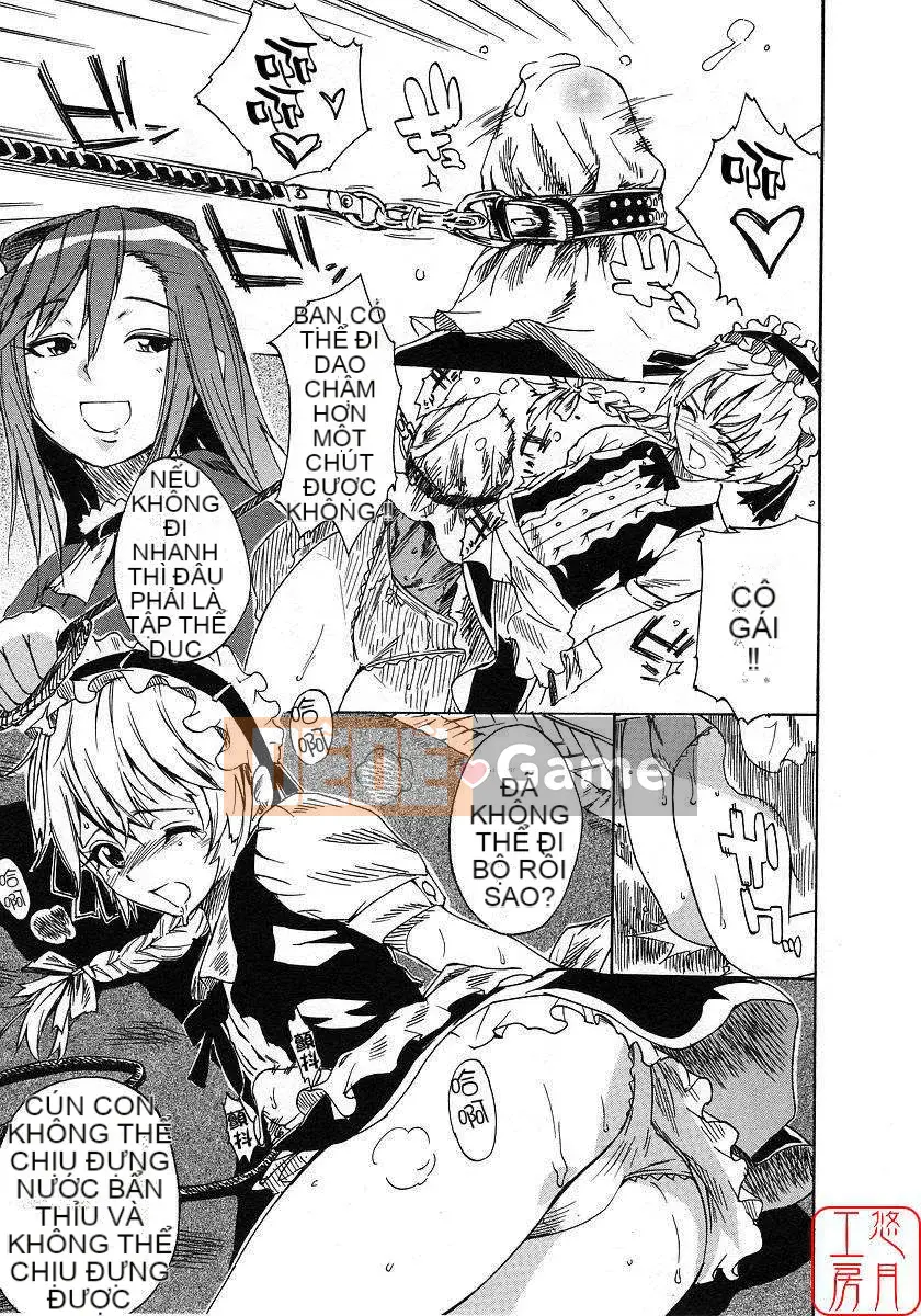 [Nylon] 100% Ni lông