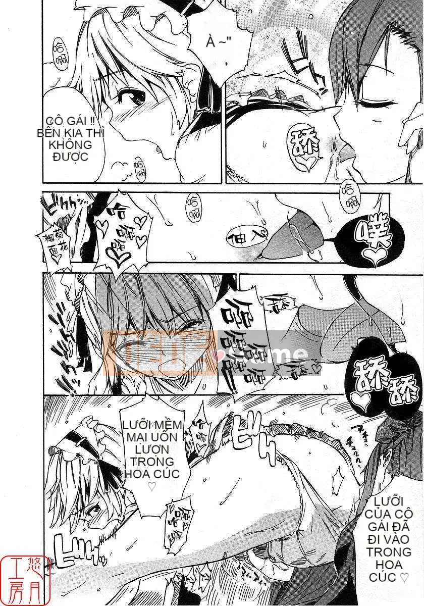 [Nylon] 100% Ni lông