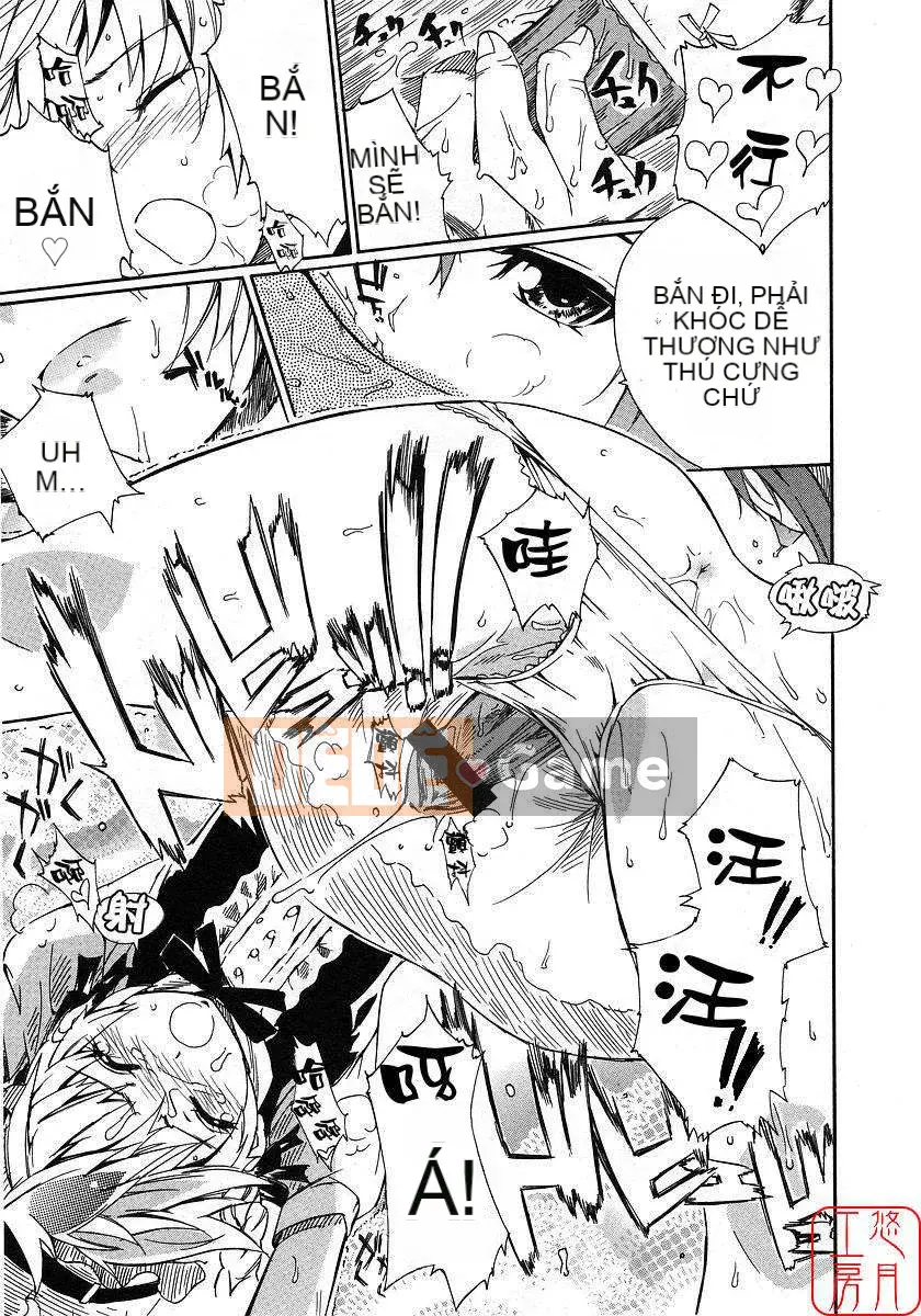 [Nylon] 100% Ni lông