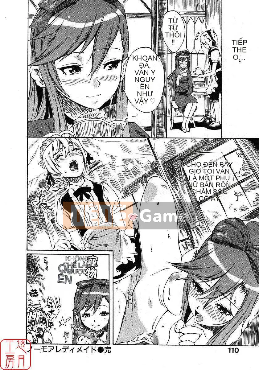 [Nylon] 100% Ni lông