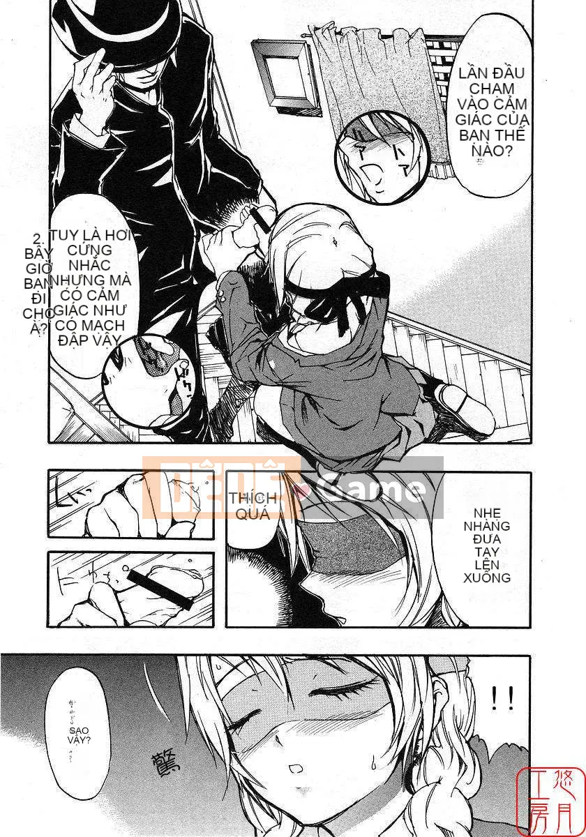 [Nylon] 100% Ni lông