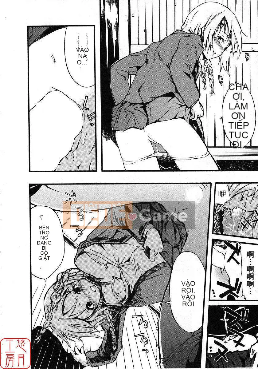 [Nylon] 100% Ni lông