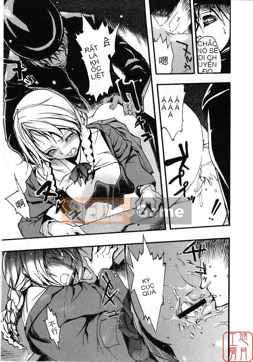 [Nylon] 100% Ni lông