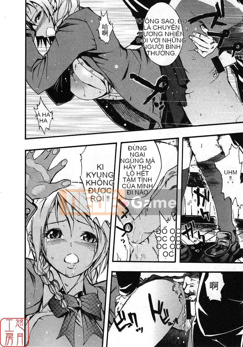 [Nylon] 100% Ni lông