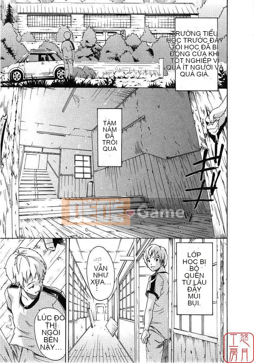 [Nylon] 100% Ni lông