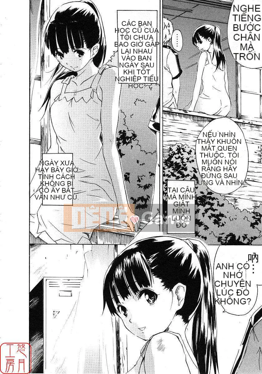 [Nylon] 100% Ni lông