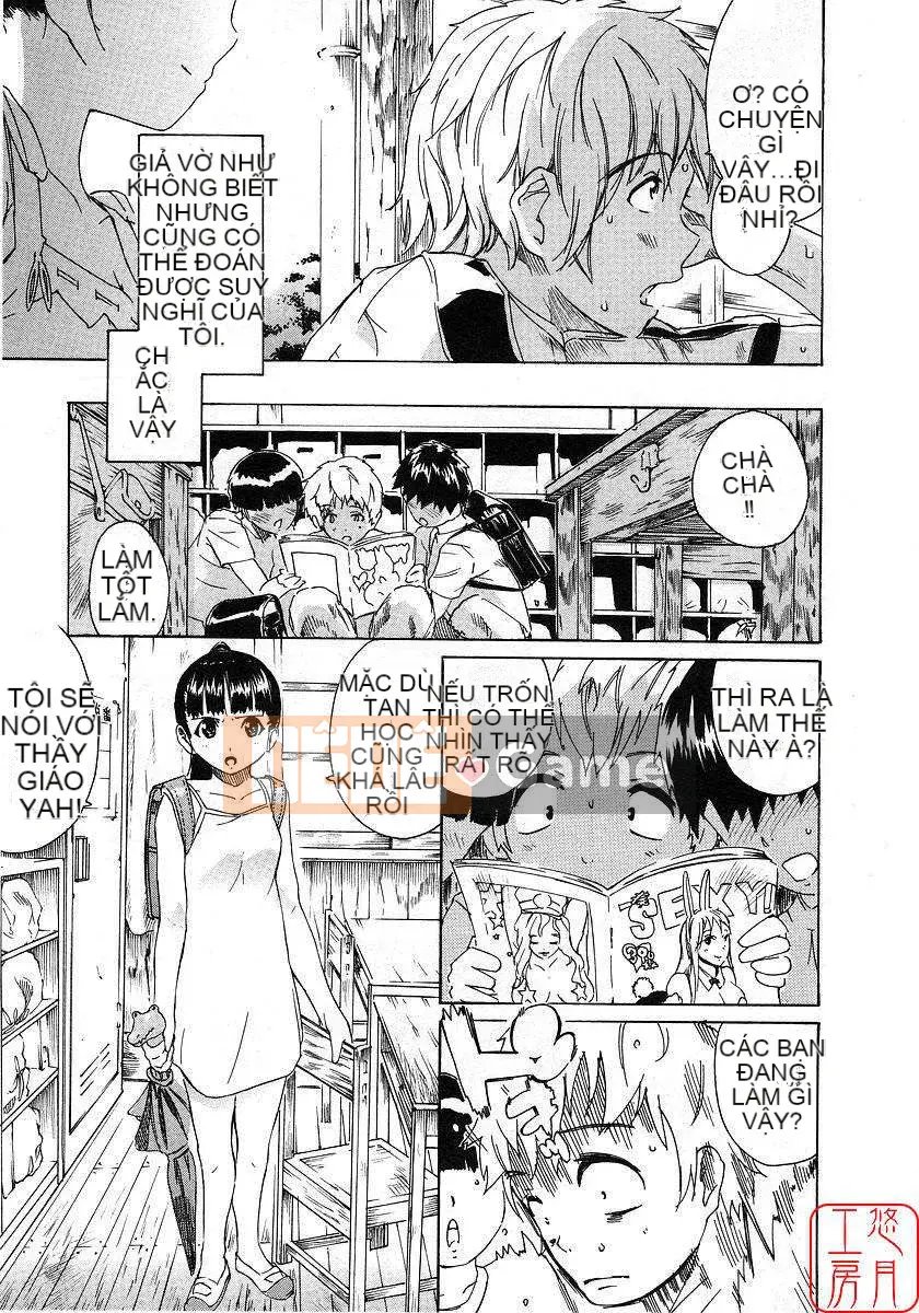 [Nylon] 100% Ni lông