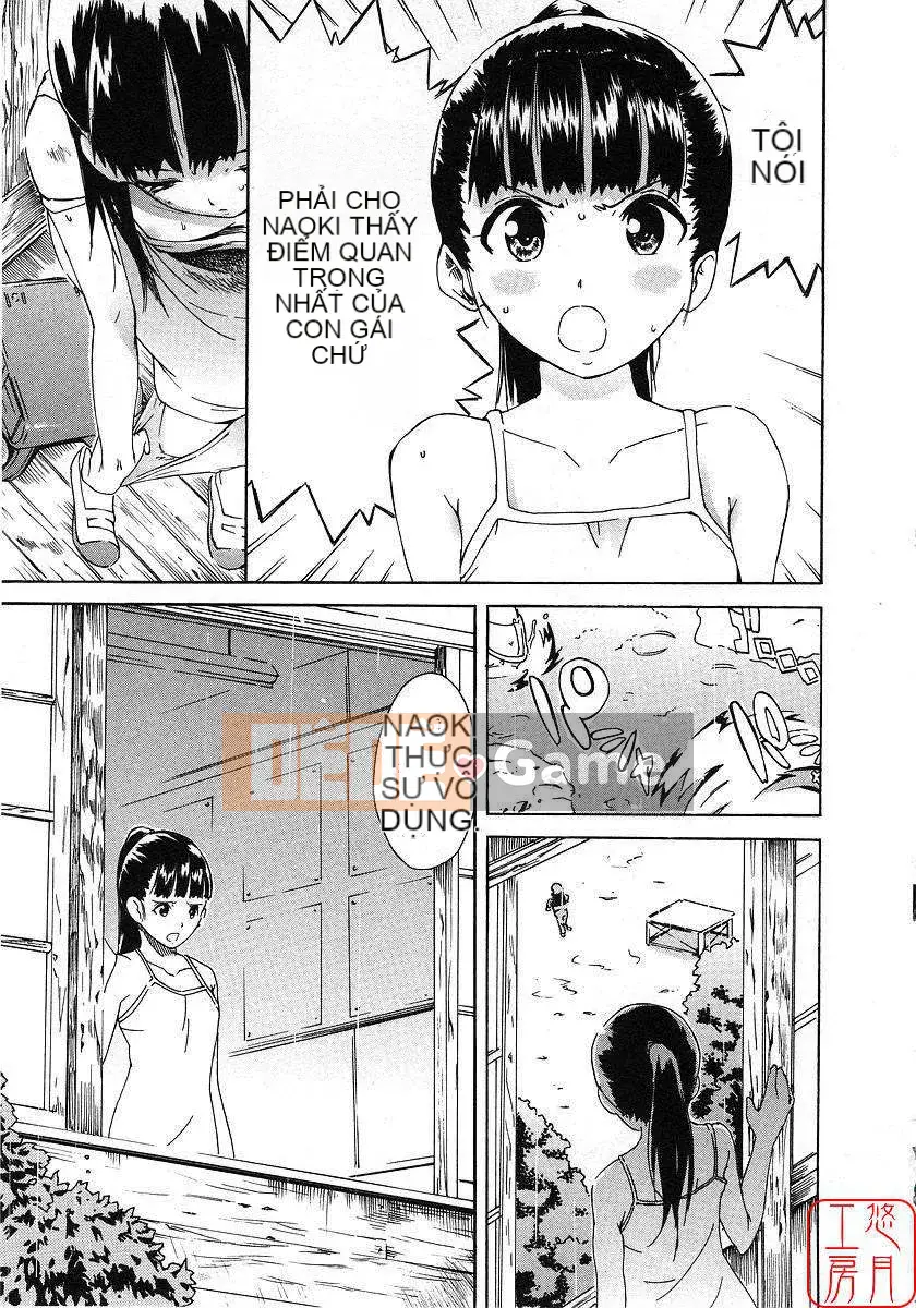 [Nylon] 100% Ni lông