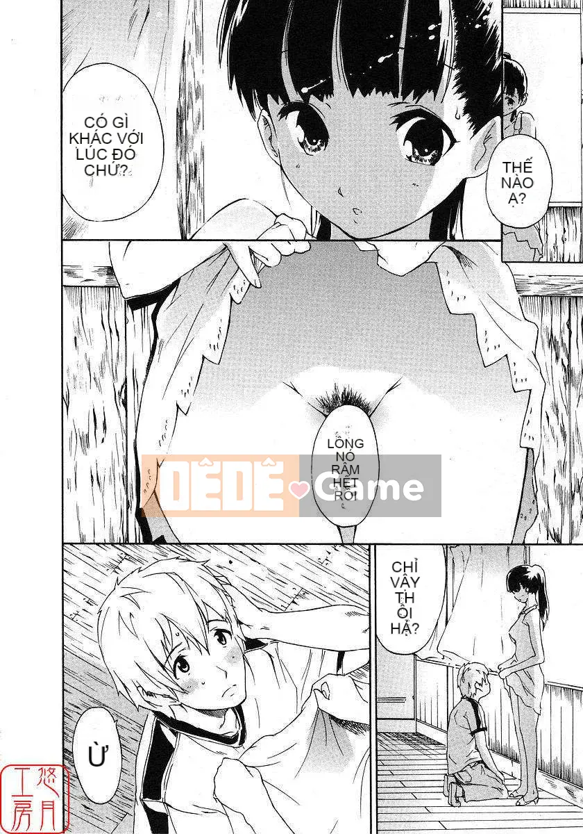 [Nylon] 100% Ni lông