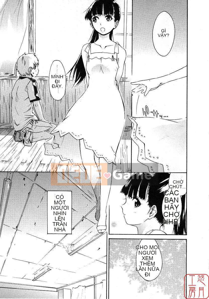 [Nylon] 100% Ni lông