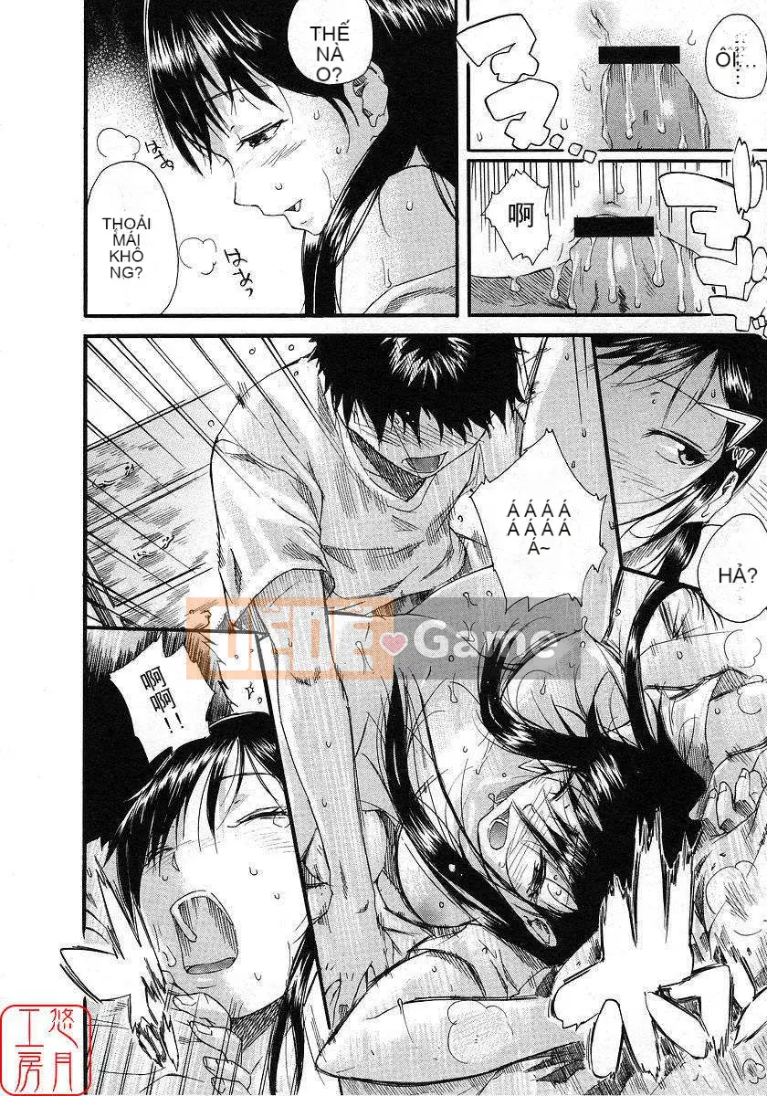 [Nylon] 100% Ni lông