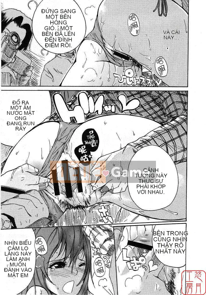 [Nylon] 100% Ni lông