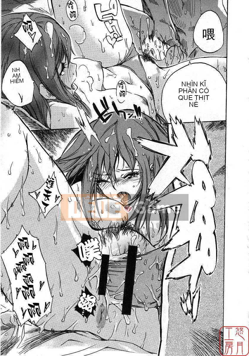 [Nylon] 100% Ni lông