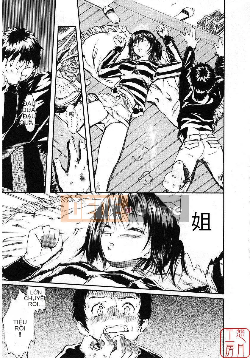 [Nylon] 100% Ni lông