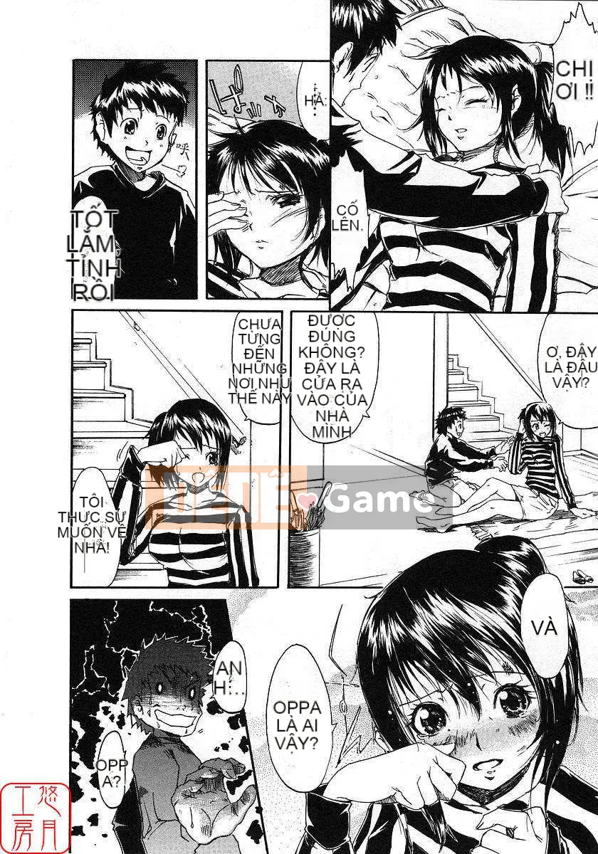 [Nylon] 100% Ni lông