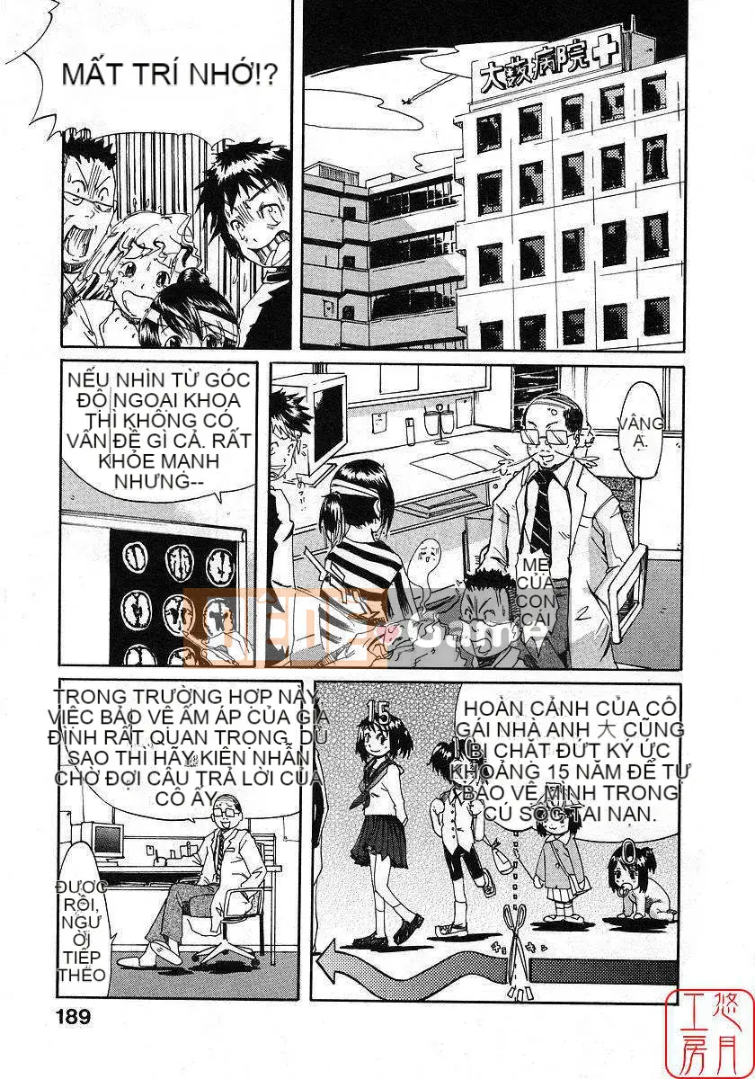 [Nylon] 100% Ni lông