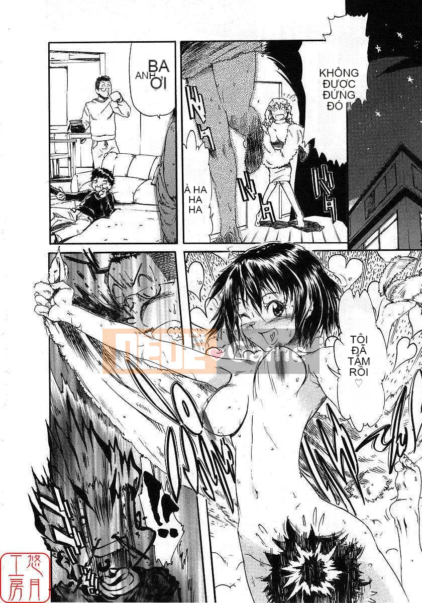 [Nylon] 100% Ni lông