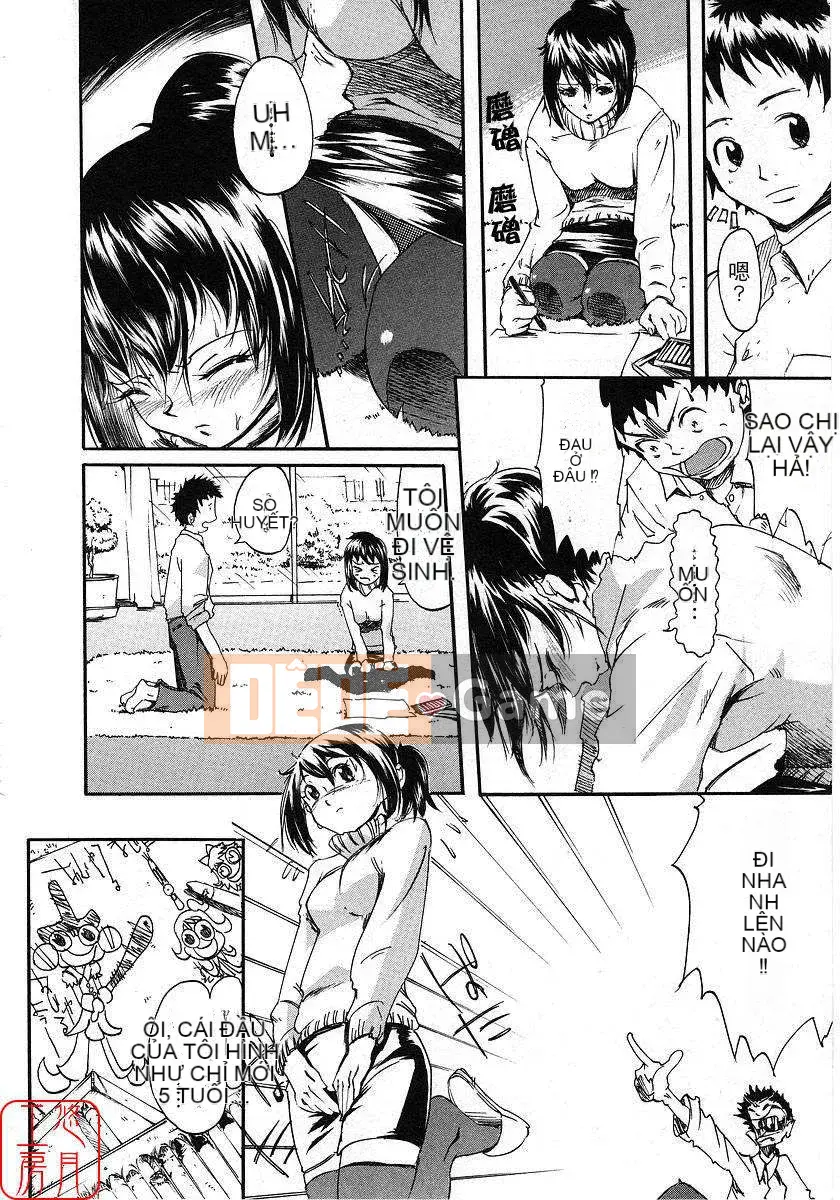 [Nylon] 100% Ni lông