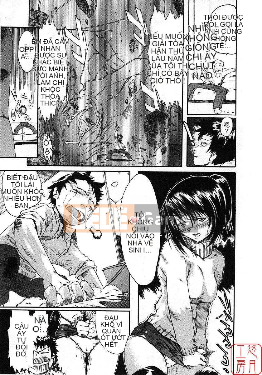 [Nylon] 100% Ni lông