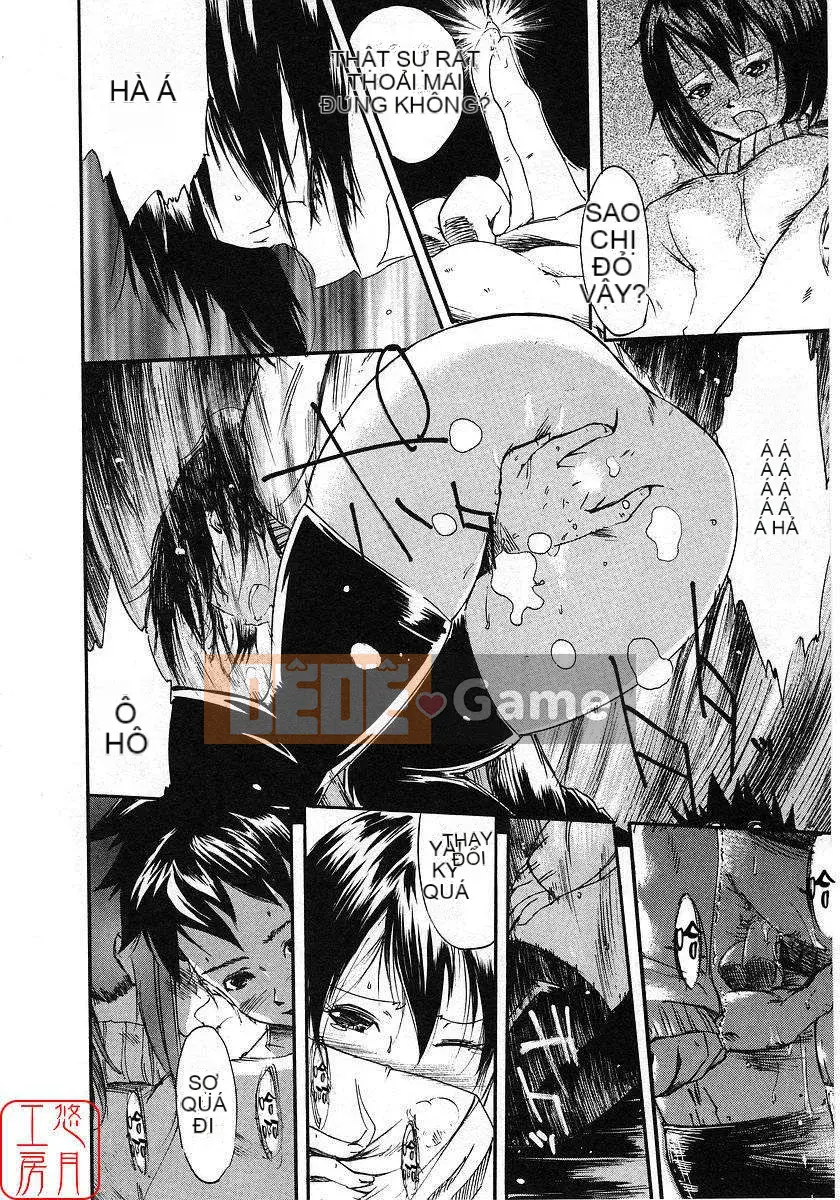 [Nylon] 100% Ni lông