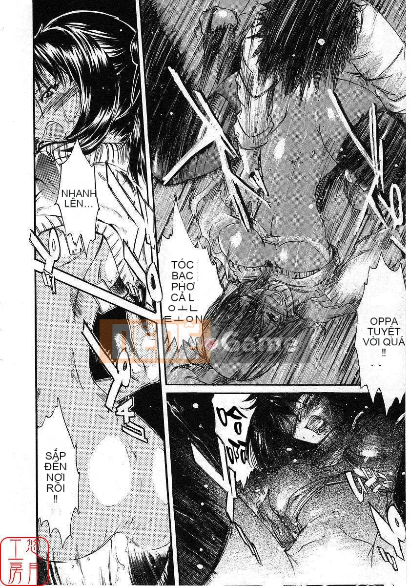 [Nylon] 100% Ni lông