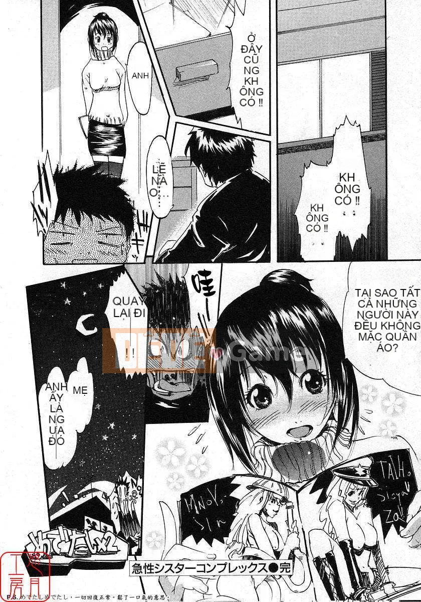 [Nylon] 100% Ni lông