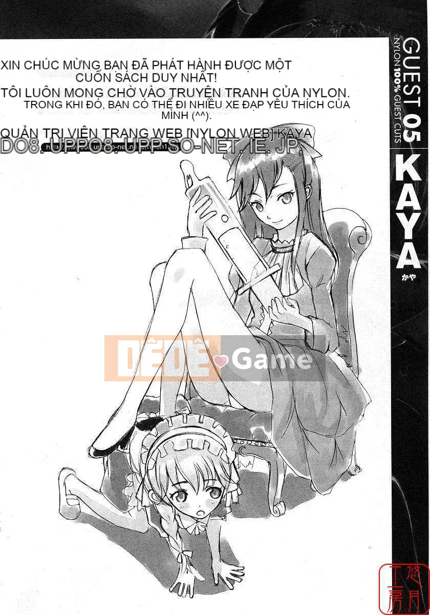 [Nylon] 100% Ni lông