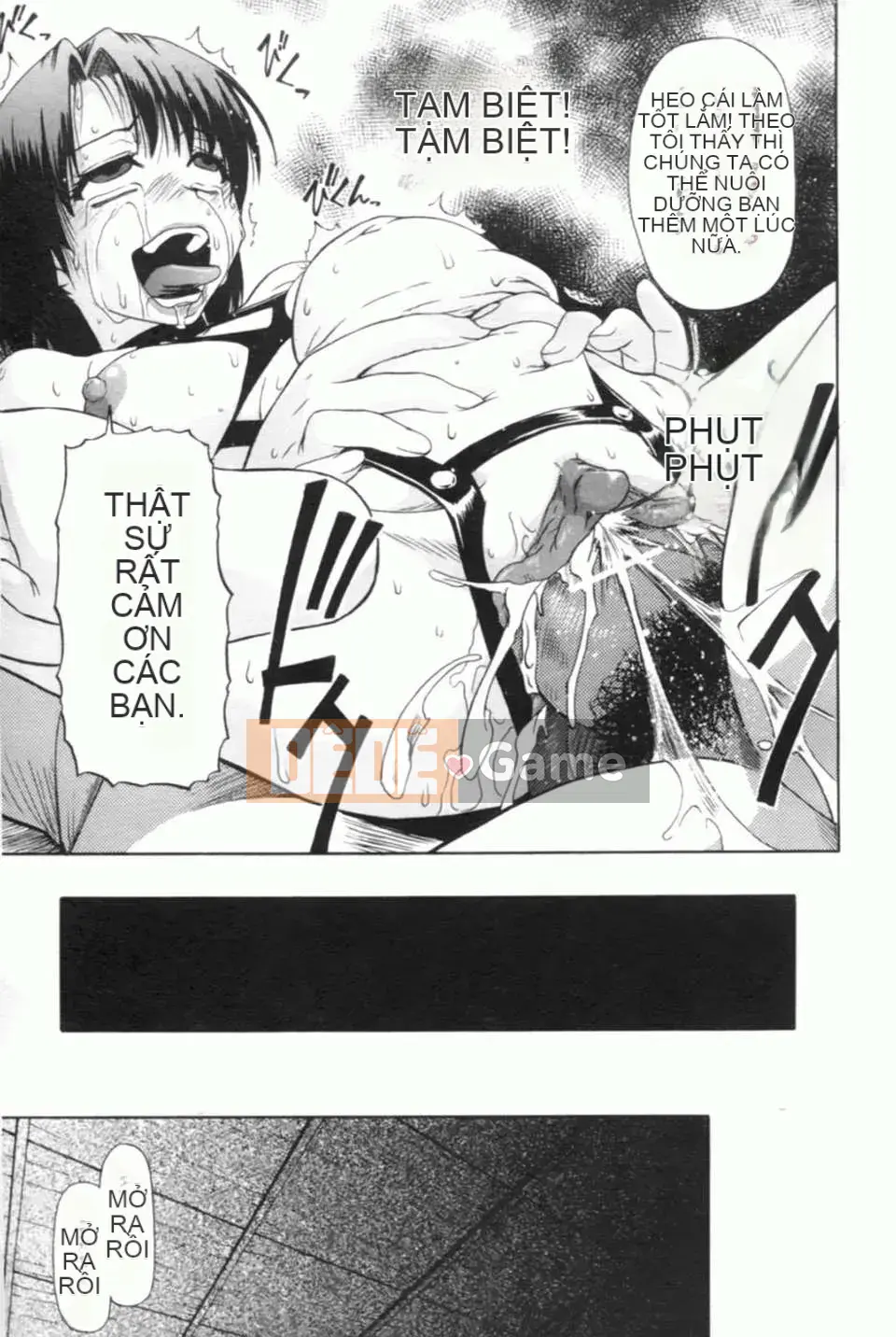 [Hàu] Khốn khổ khi nhìn vào