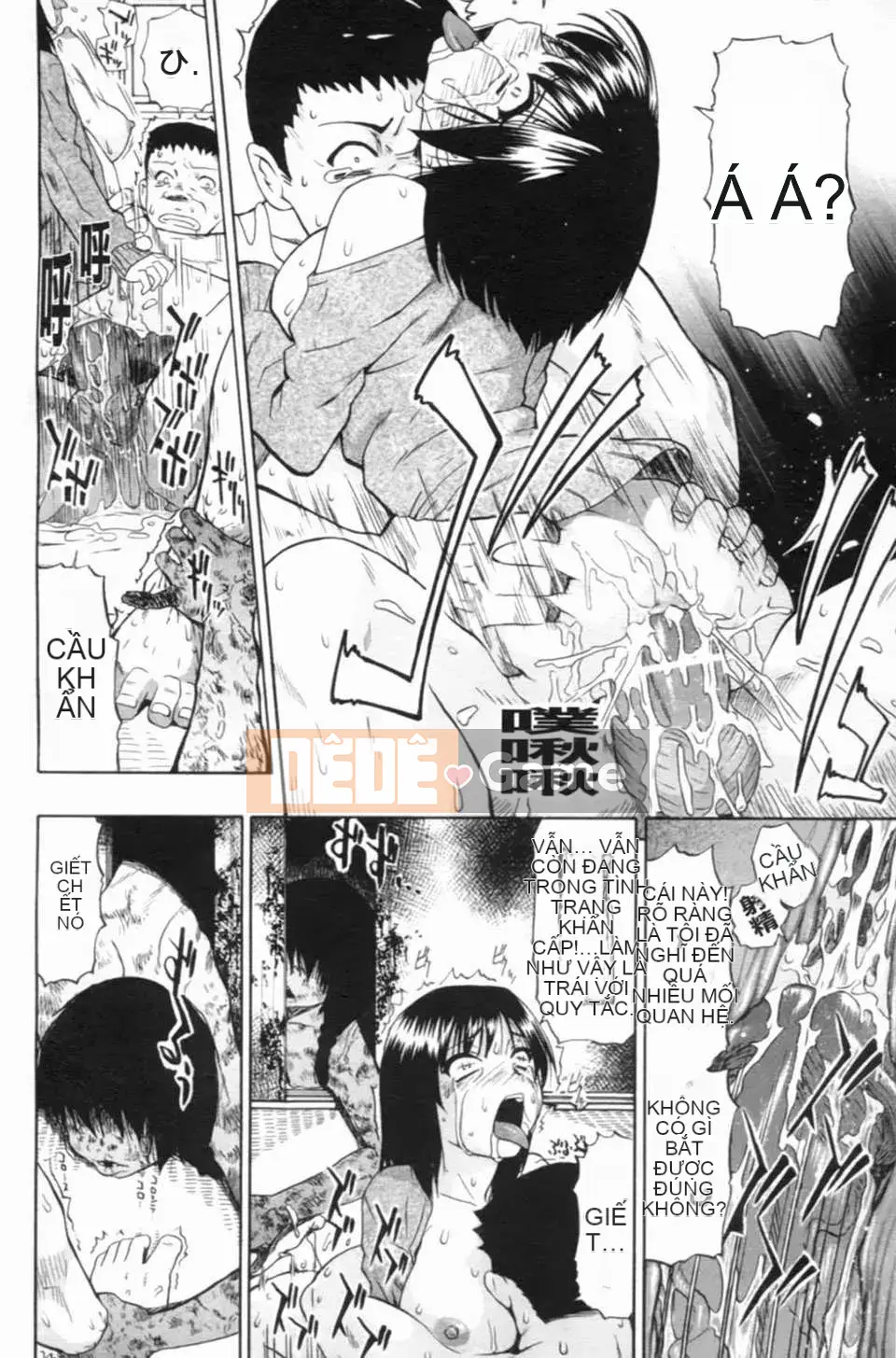 [Hàu] Khốn khổ khi nhìn vào