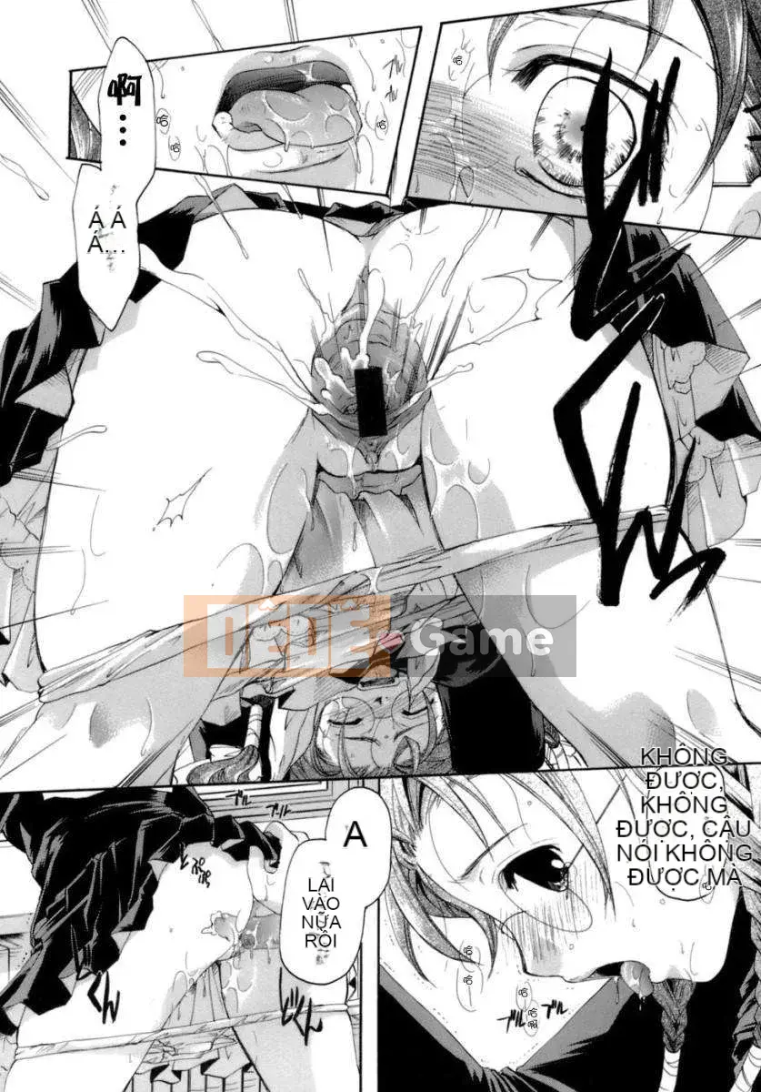 [Itoei] Nước mắt tình yêu và mật ong tình yêu