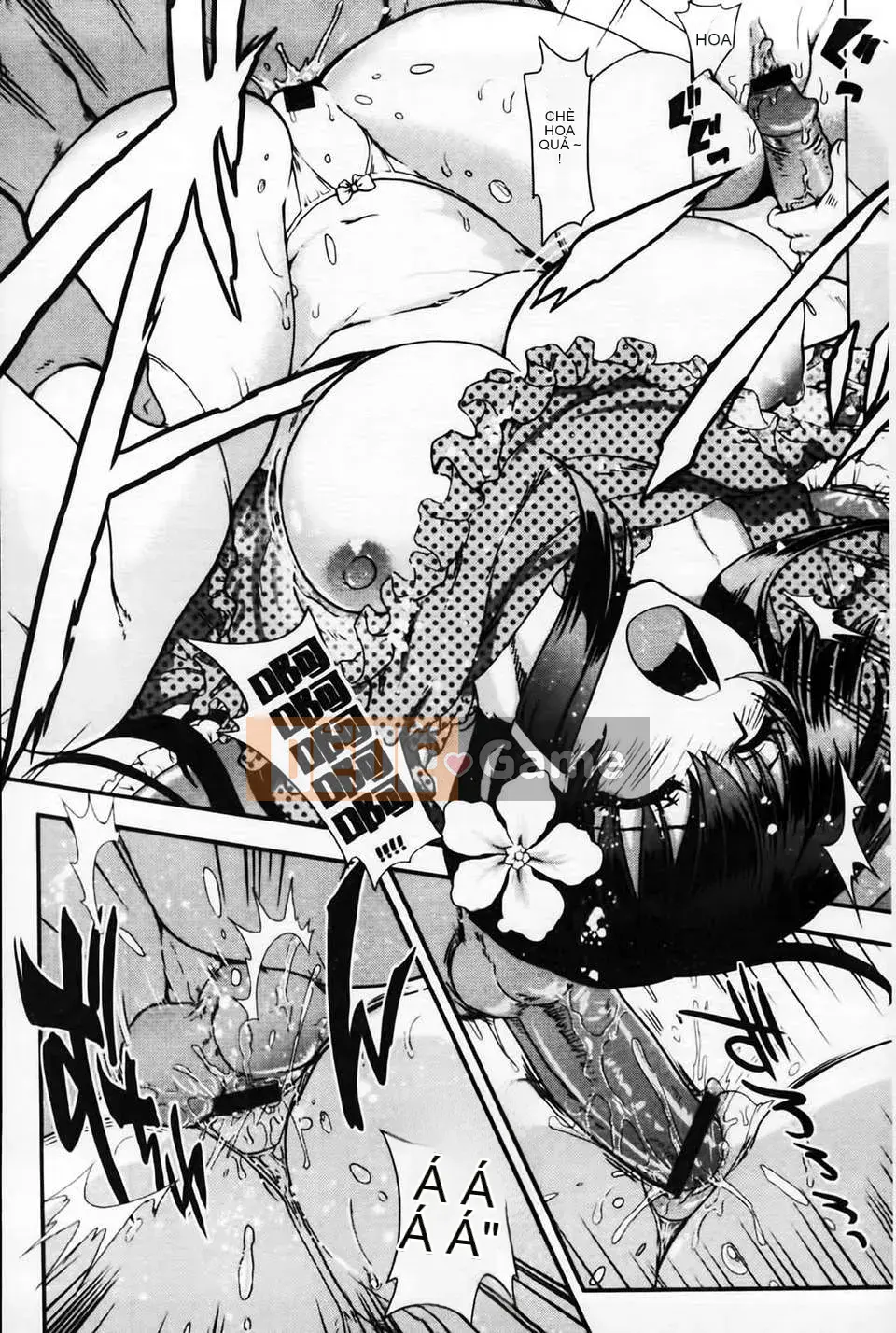 [URAN] Bánh Kem Toro Toro