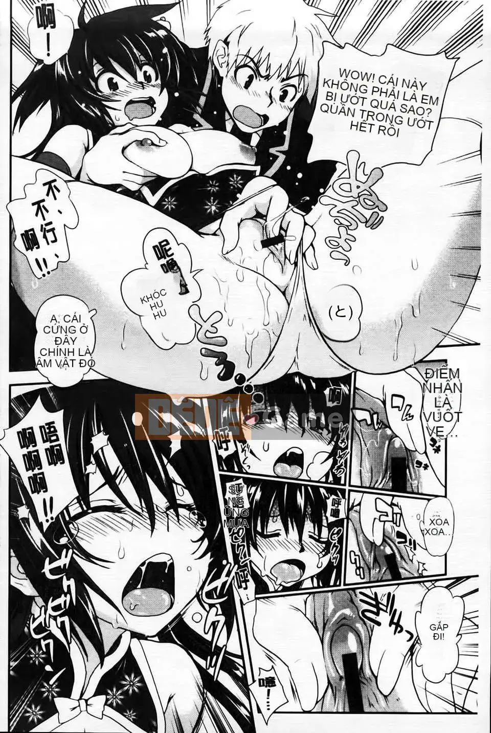 [URAN] Bánh Kem Toro Toro