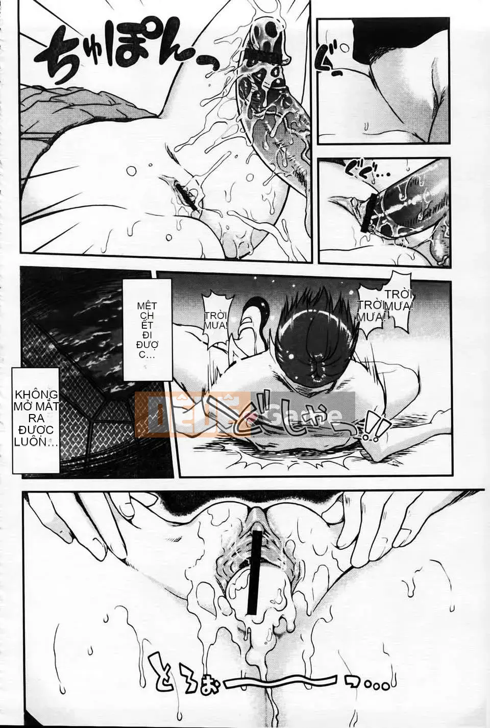 [URAN] Bánh Kem Toro Toro